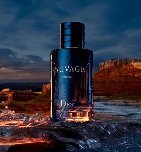 christian dior vetiver cologne|christian dior cologne sauvage.